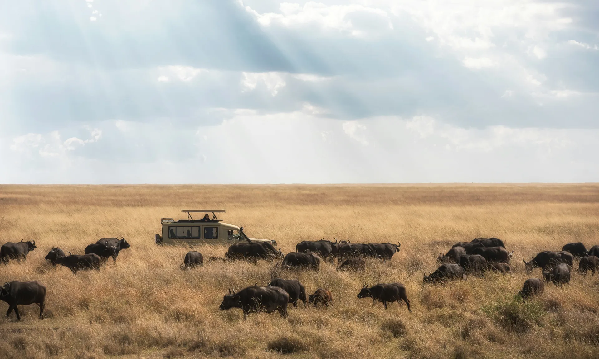 9 Days Beyond The Hills