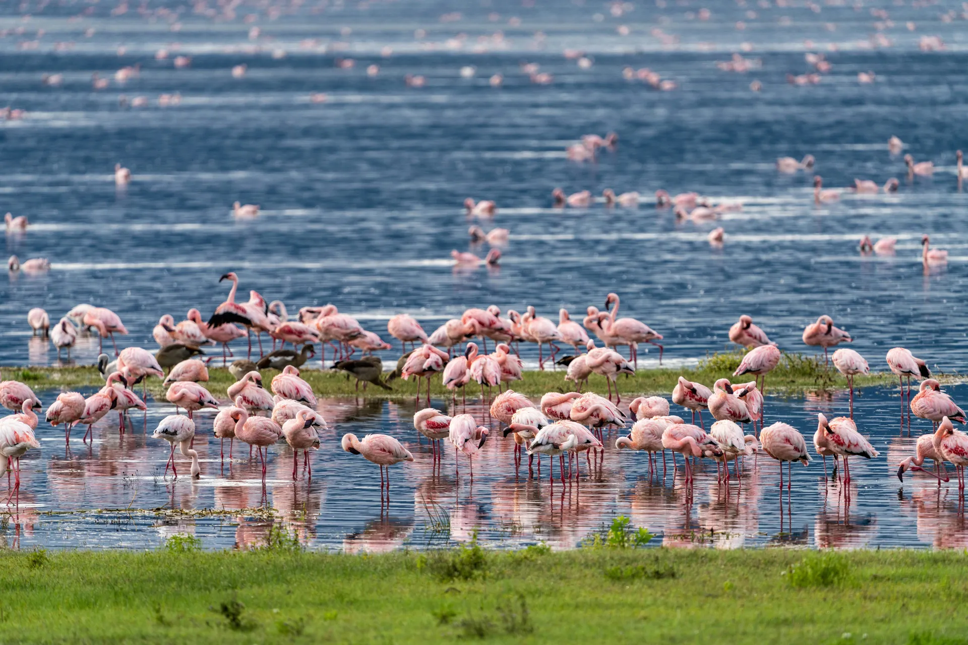 5 Days Serengeti Great Migration
