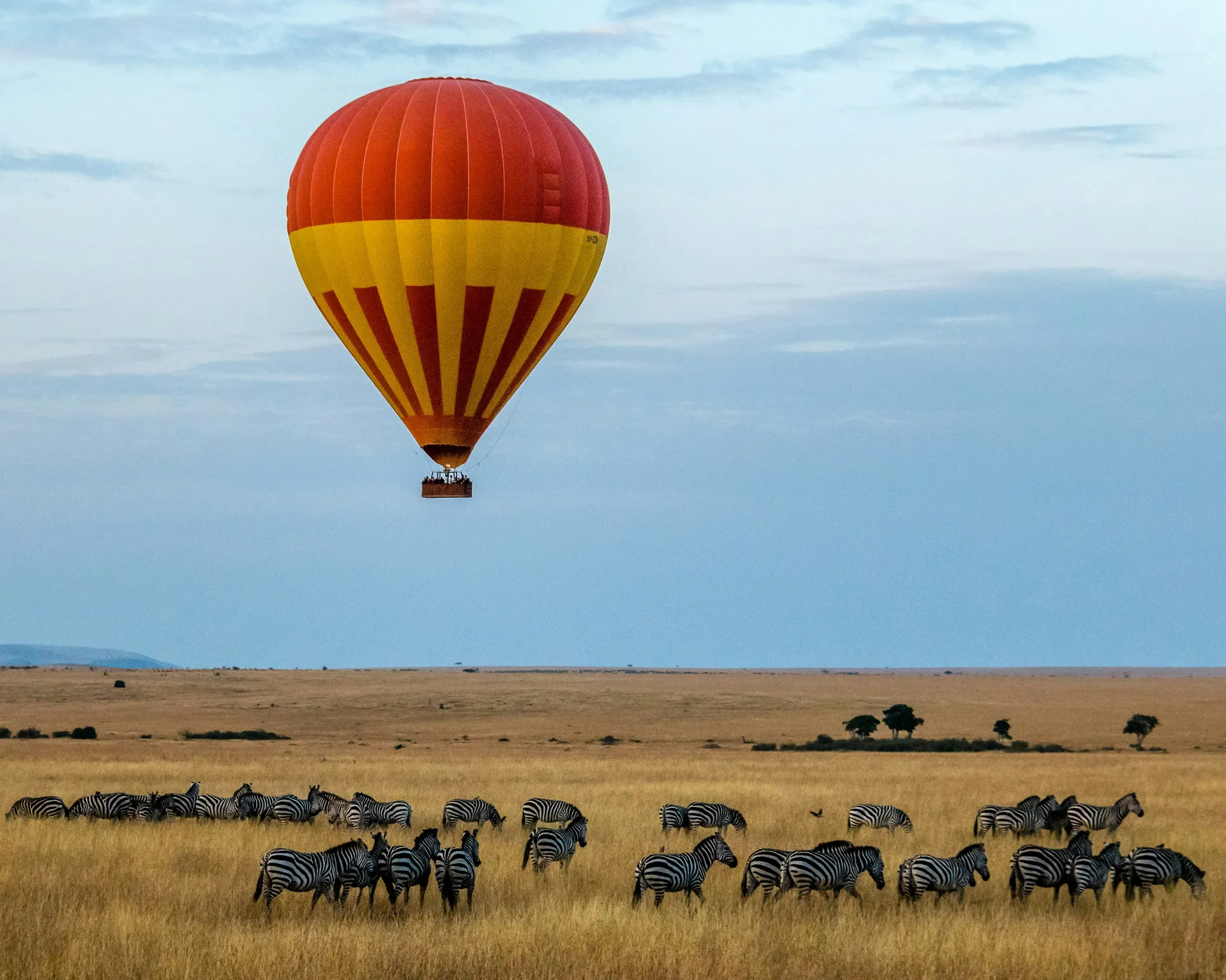10 Days Migration Safari