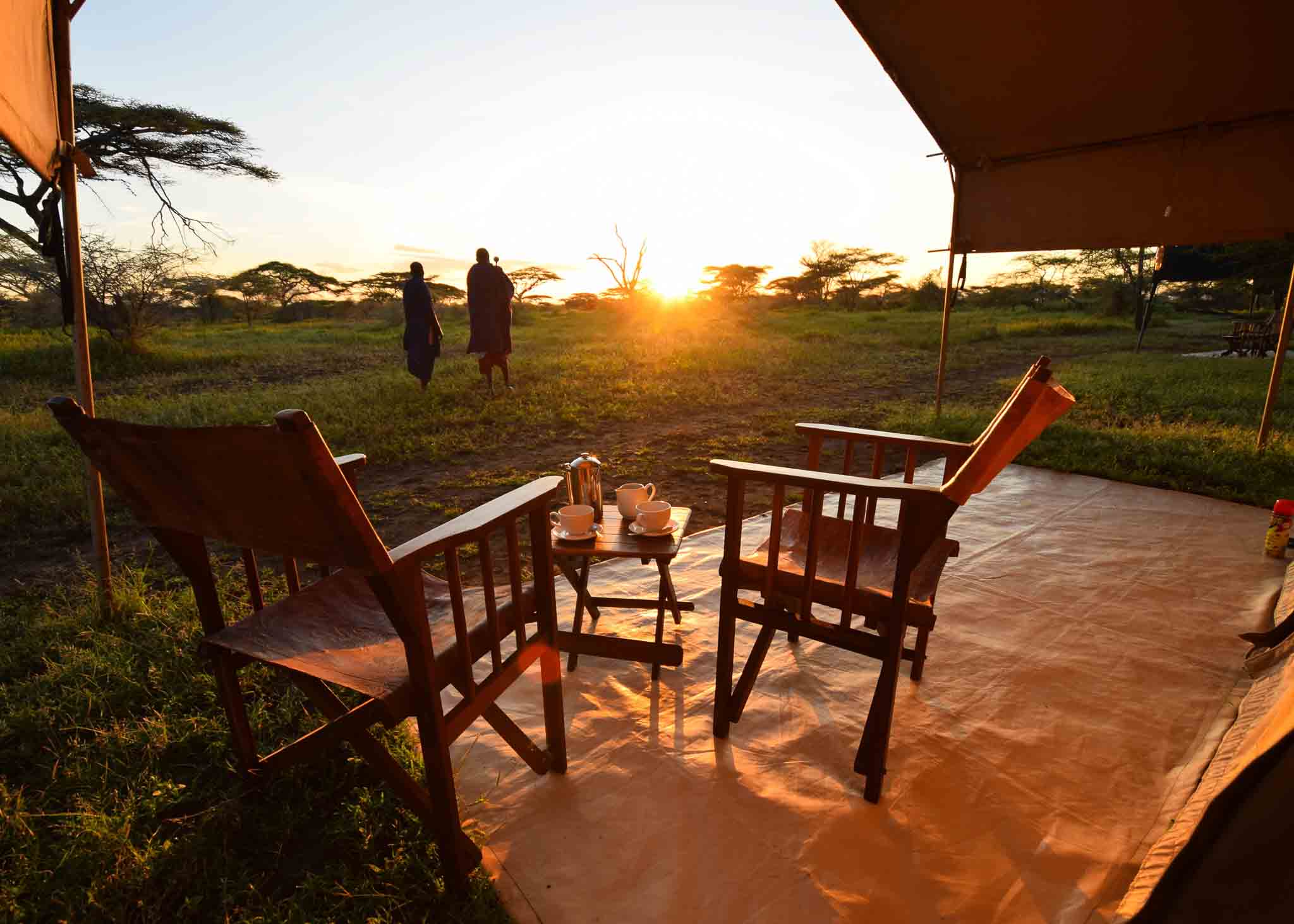Fly-in safari Tanzania, Private luxury safari, 3-day Tanzania safari, Sustainable safari tour, Luxury African safari, Eco-friendly safari experience, Tanzania wildlife safari, 3 days private fly-in luxury safari